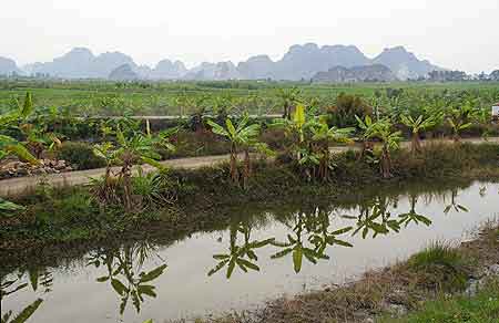 canal bordé
						de bananiers.  Vietnam
