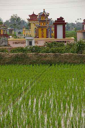 Cimetière traditionnel Vietnam