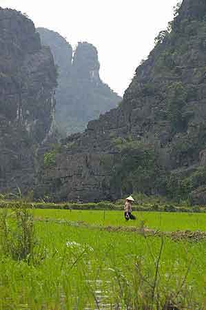  Hoa Lu Tam Coc : la Baie d'Halong terrestre  Vietnam