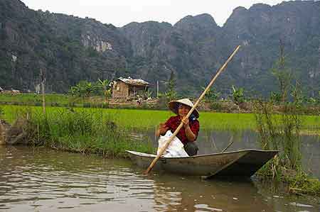  Hoa Lu Tam Coc : la Baie d'Halong terrestre  Vietnam