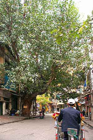 Hanoi Vietnam