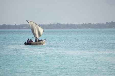 Michamwi boutres de pêche  Zanzibar Tanzanie